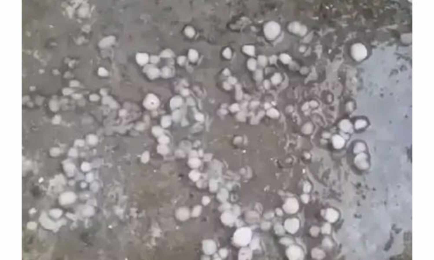 बारिश के साथ गिरे ओले, किसान चिंतित