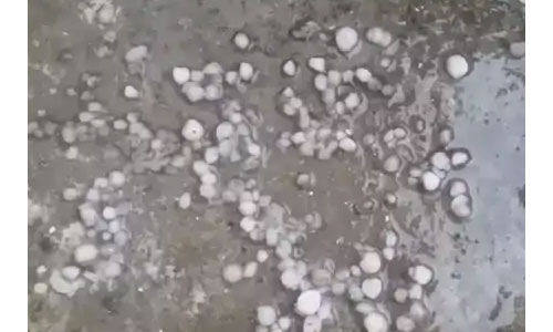 बारिश के साथ गिरे ओले, किसान चिंतित