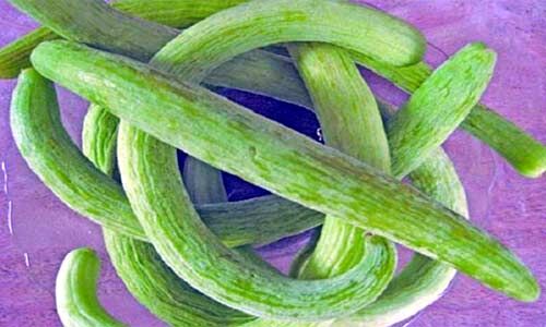 ककड़ी के सेवन से बीमारियों को रखा जा सकता है शरीर से दूर, जानें