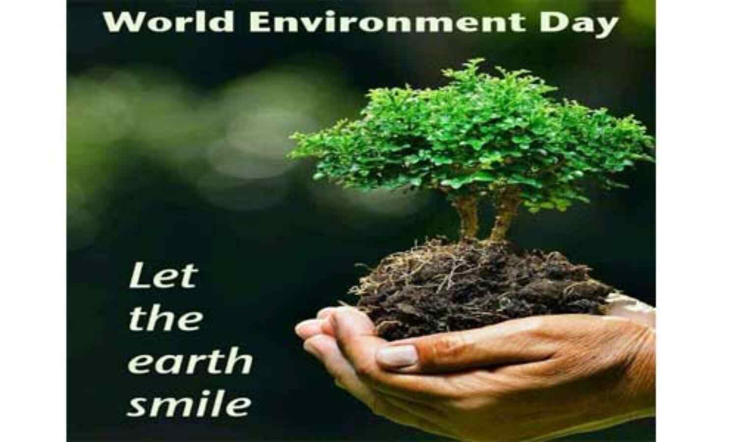 विश्व पर्यावरण दिवस : भारत को सीखना चाहिए यह पांच मन्त्र