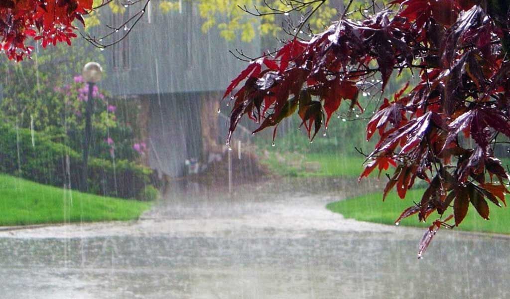 प्रदेश में के कई जिलों में तेज बारिश, कुछ सूखे की दहलीज पर