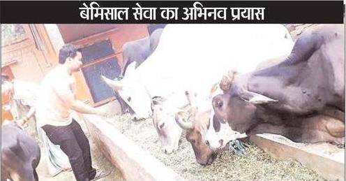 बीमार दुर्घटना ग्रस्त गौ वंश का उपचार और देखवाल का केंद्र बना मंशापूर्ण गौकुलधाम बीमार दुर्घटना ग्रस्त गौ वंश का उपचार और देखवाल का केंद्र बना मंशापूर्ण गौकुलधाम