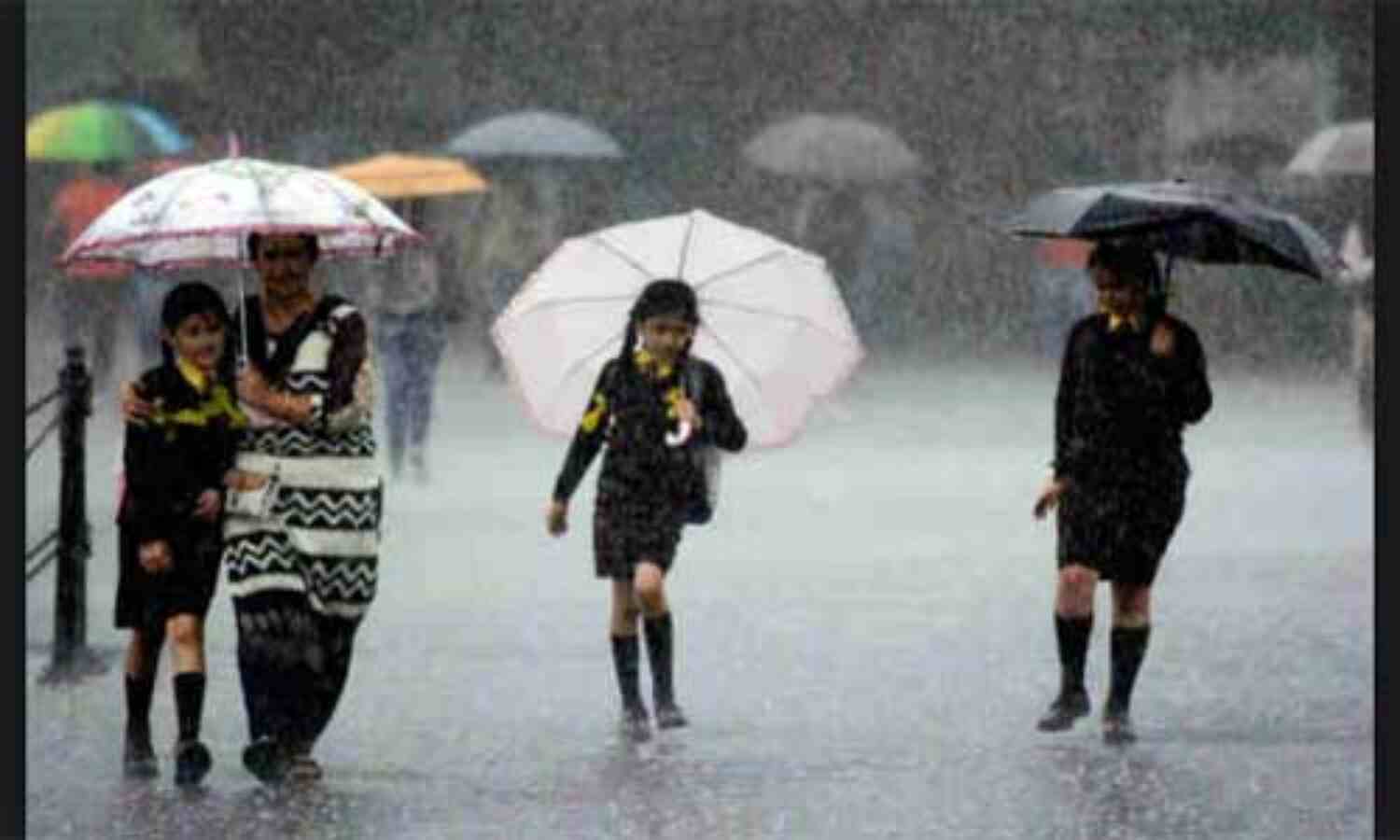 बारिश के मौसम में बीमार होने से बचना है तो भूलकर न करें इन चीजों का सेवन