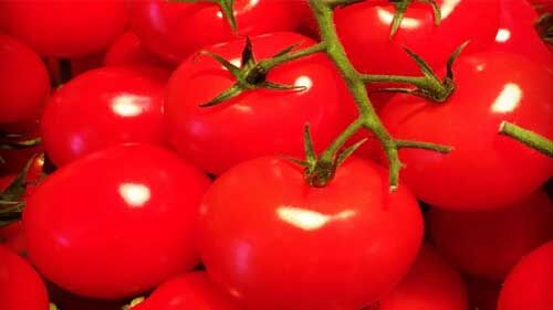 टमाटर ने छुआ आसमान, 80-100 रुपये किलो कीमत