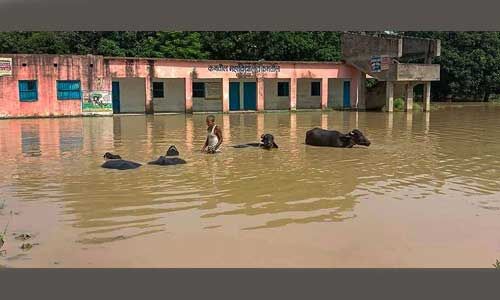 बिहार में कई जिलों में सूखे की स्थिति तो कुछ में बाढ़ जैसे हालात, पढ़े पूरी खबर