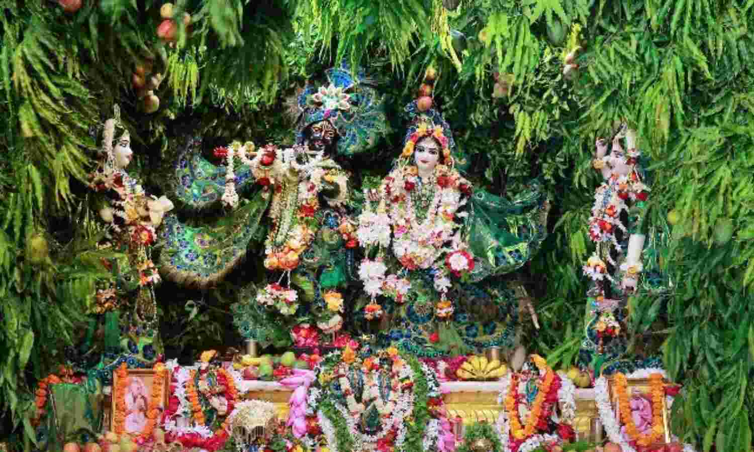 अगर आप हरियाली तीज पर वृंदावन जा रहे है तो जान लीजिए इस खास दिन का महत्व अगर आप हरियाली तीज पर वृंदावन जा रहे है तो जान लीजिए इस खास दिन का महत्व