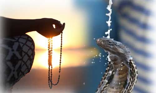 नाग पंचमी शिव योग में मनाई जाएगी