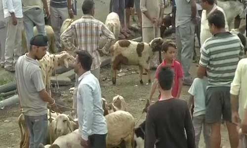 जम्मू : बकरीद के कारण बाजारों में रौनक