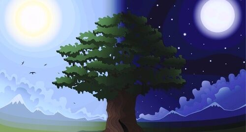 23 सितम्बर की खगोलीय घटना से दिन-रात होंगे एक समान, आम आदमी के जीवन को प्रभावित... 23 सितम्बर की खगोलीय घटना से दिन-रात होंगे एक समान, आम आदमी के जीवन को प्रभावित...