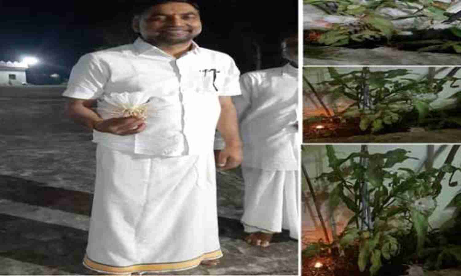 विधायक जालम सिंह पटेल के घर पर खिले चार ब्रम्ह कमल