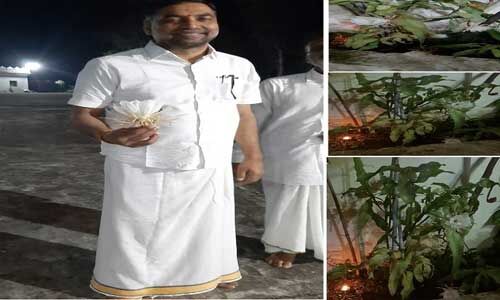 विधायक जालम सिंह पटेल के घर पर खिले चार ब्रम्ह कमल