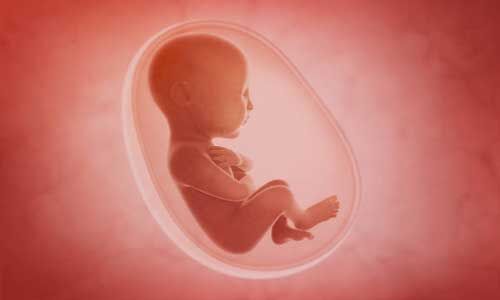 अजीबो-गरीब : छह दिन की बच्ची के पेट में पाया गया भ्रूण, पढ़े पूरी खबर