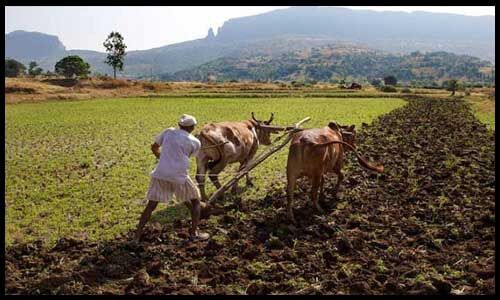 केंद्र सरकार ने किसानों को दिवाली से पहले दी बड़ी सौगात, पढ़े पूरी खबर