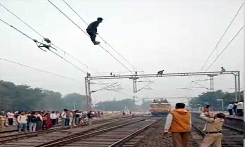 रेलवे की केवीए लाइन पर चढ़ा विक्षिप्त युवक, कड़ी मशक्कत के बाद सुरक्षित उतारा रेलवे की केवीए लाइन पर चढ़ा विक्षिप्त युवक, कड़ी मशक्कत के बाद सुरक्षित उतारा