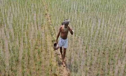 महाराष्ट्र में प्रभावित किसानों के लिए आर्थिक मदद की घोषणा
