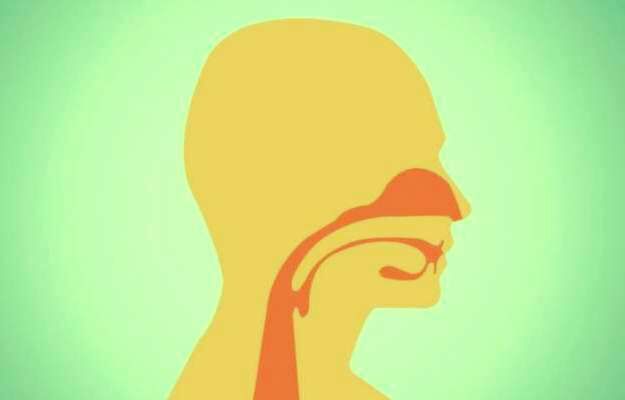 ऑपरेशन के बाद गले में फंसा केला, एन्डोस्कोपी से निकाला