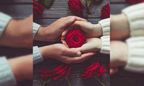Rose Day पर अपनी राशि के अनुसार दें गुलाब का फूल, बना रहेगा जन्मों तक साथ
