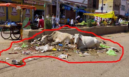 कोरोना : शहर में सेनिटाइज के दावे निकले खोखले, कूड़े के ढेर तक नहीं हो रहे साफ