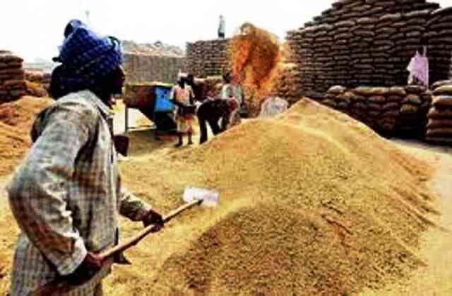 ग्वालियर : गेहूँ उपार्जन के कार्य में उपयंत्रियों की ली जायेंगी सेवायें