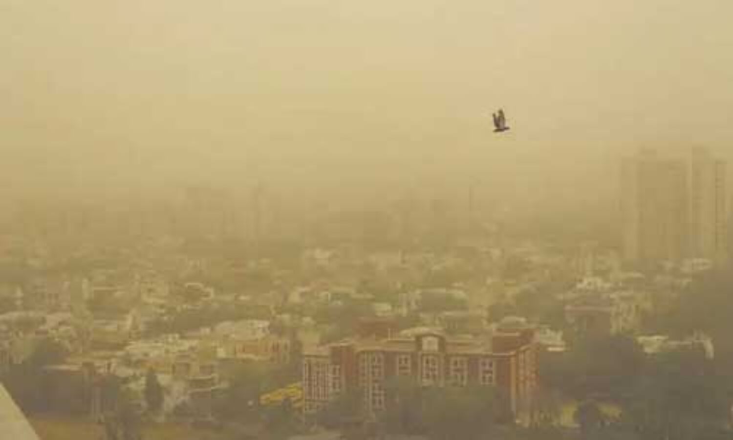 दिल्ली की हवा में मिला प्रदूषण, पीएम 10 कणों की मात्रा मानक से दोगुना