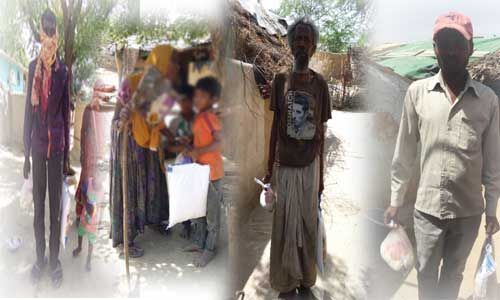 यह है कोरोना संकट के मददगार, जानें कैसे