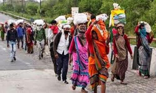 प्रदेश के अन्य जिलों में फँसे श्रमिकों को गृह जिलों में भिजवाने के निर्देश