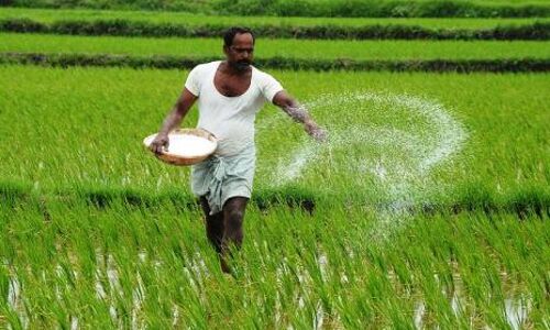 लॉकडाउन के बीच देश में उर्वरकों की हुई रिकॉर्ड बिक्री