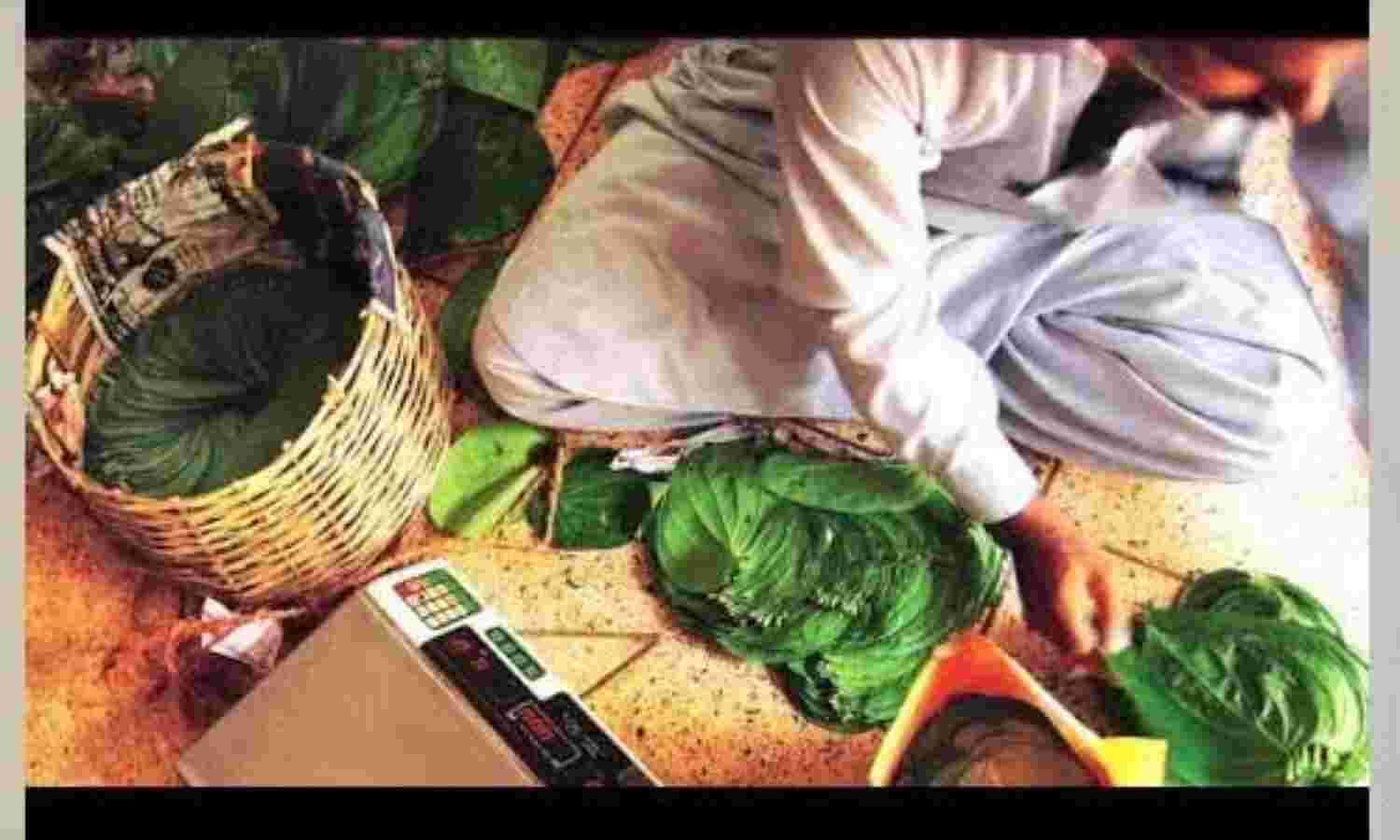 यूपी के 21 जिलों में पान मण्डी खोलने के आदेश जारी