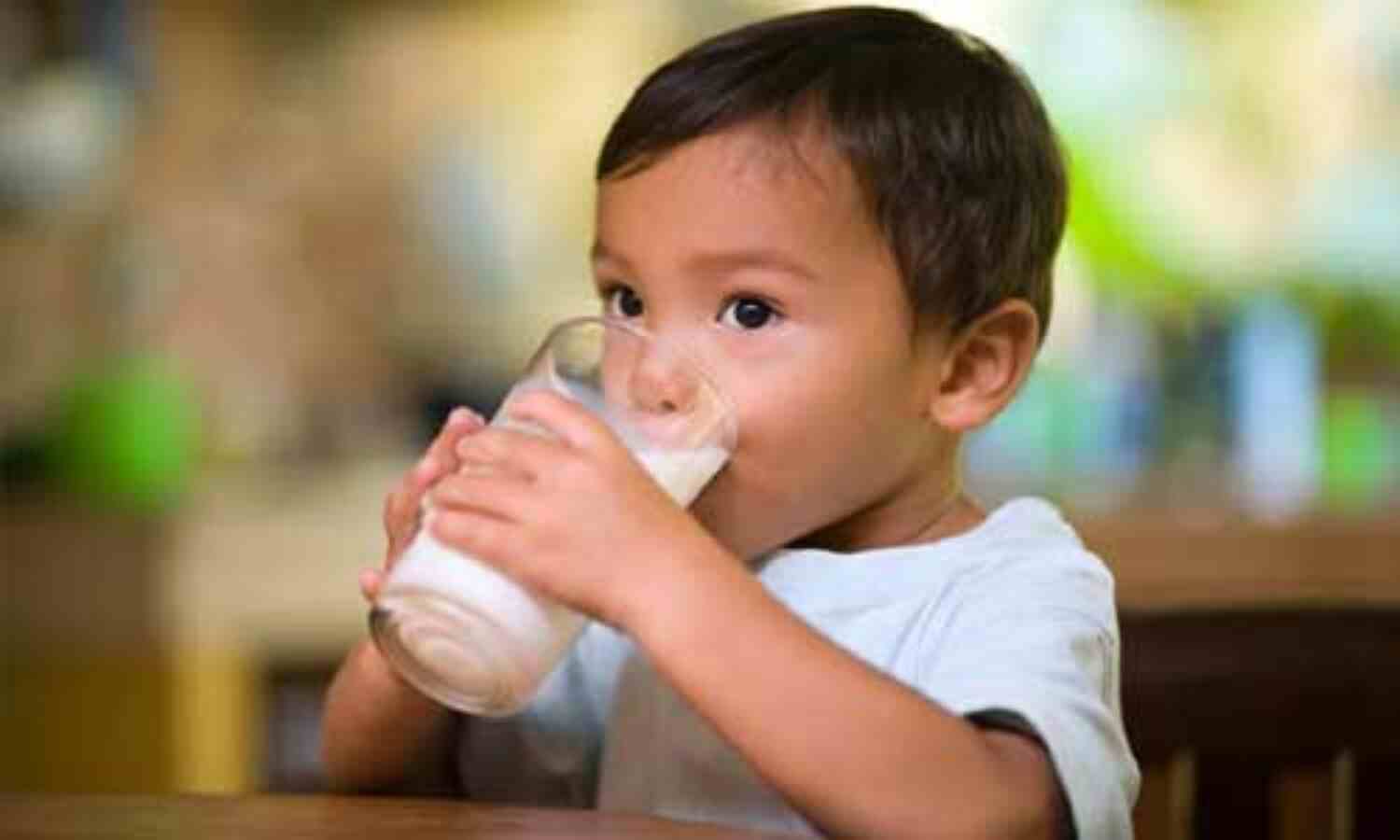 इम्युनिटी को मजबूत करता है गाय का दूध