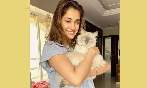 बागी ने मेरी काफी मदद की : दिशा पटानी