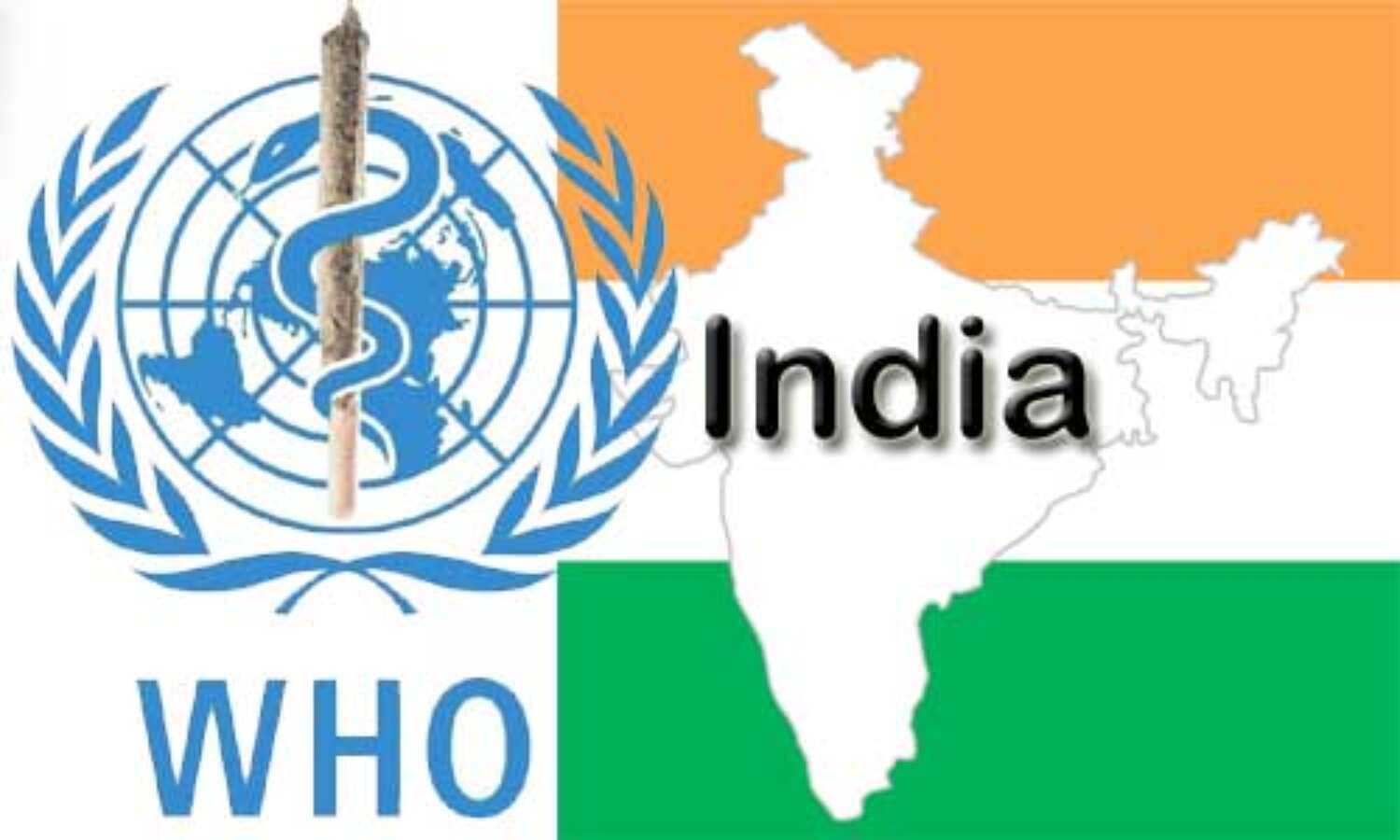 WHO में बढ़ी भारत की भूमिका, 34 सदस्यी कार्यकारी बोर्ड में शामिल