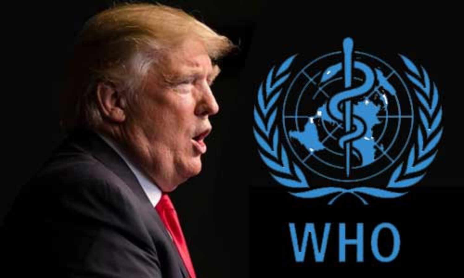 यूएसए ने तोड़े WHO से सारे संबंध, ट्रंप ने कोरोना पर चीन को भी घेरा