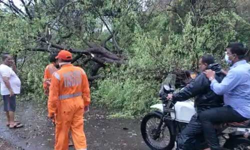 निसर्ग चक्रवात : गुजर गया तूफान, महाराष्ट्र के रायगढ़ में उखड़े पेड़-खंभे, एक की मौत