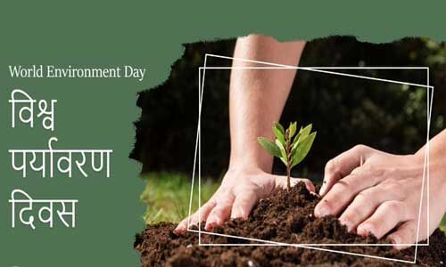 विश्व पर्यावरण दिवस क्यों मनाया जाता है, क्या है महत्व और थीम