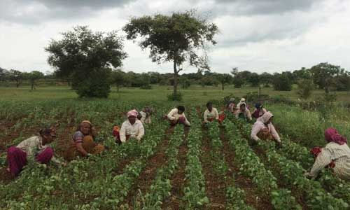 कृषि कानूनों पर पंजाब के विशेषज्ञों की मुहर