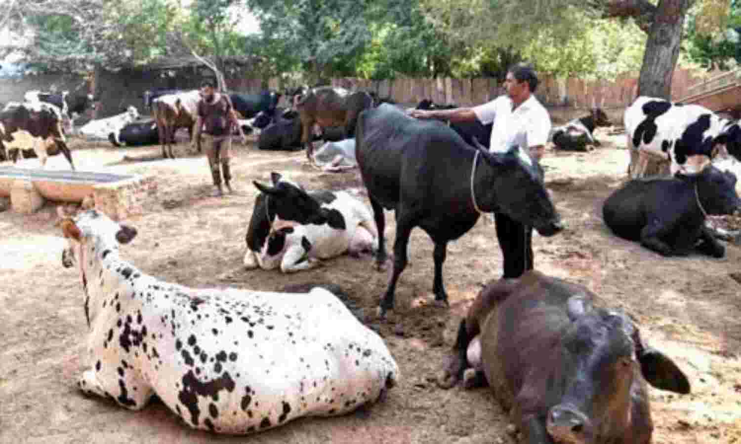 अब इस क्षेत्र में पैदा होंगी 35 लाख नौकरियां