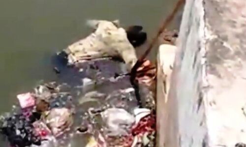 प्रेमिका के शव के बाद प्रेमी का शव भी सागरताल में मिला