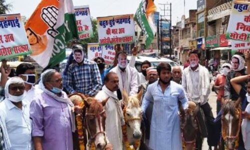 पेट्रोल-डीजल के दामों के विरोध में कांग्रेस ने निकाली खच्चर यात्रा