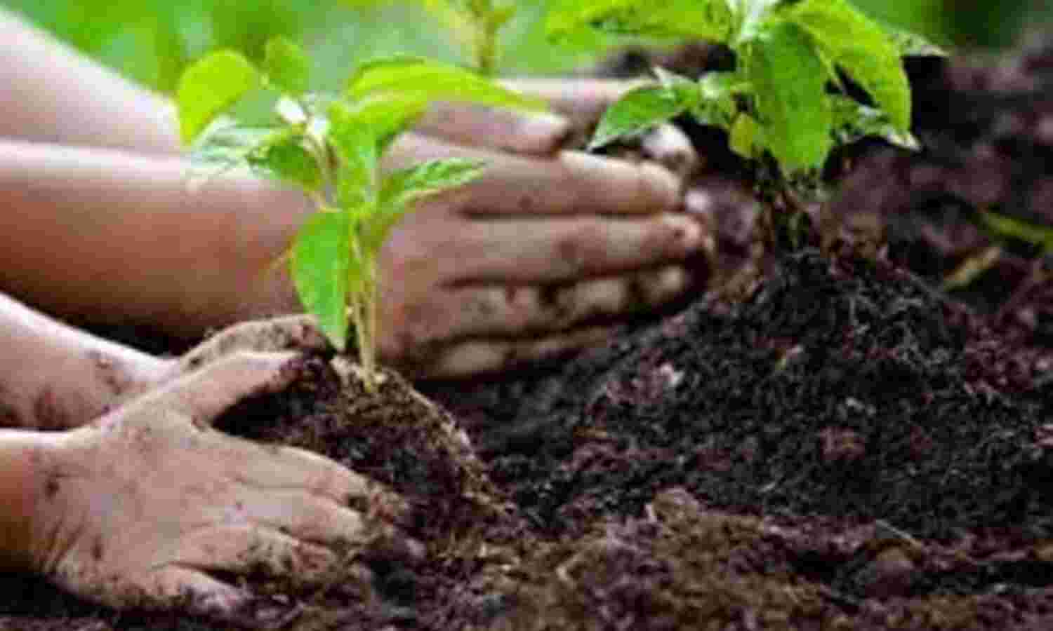 समाज का सांस्कृतिक दायित्व है वृक्षारोपण समाज का सांस्कृतिक दायित्व है वृक्षारोपण