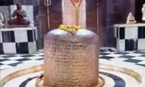 भगवान भोलेनाथ का दूर से किया अभिषेक, मंदिरों में उमड़ी भीड़