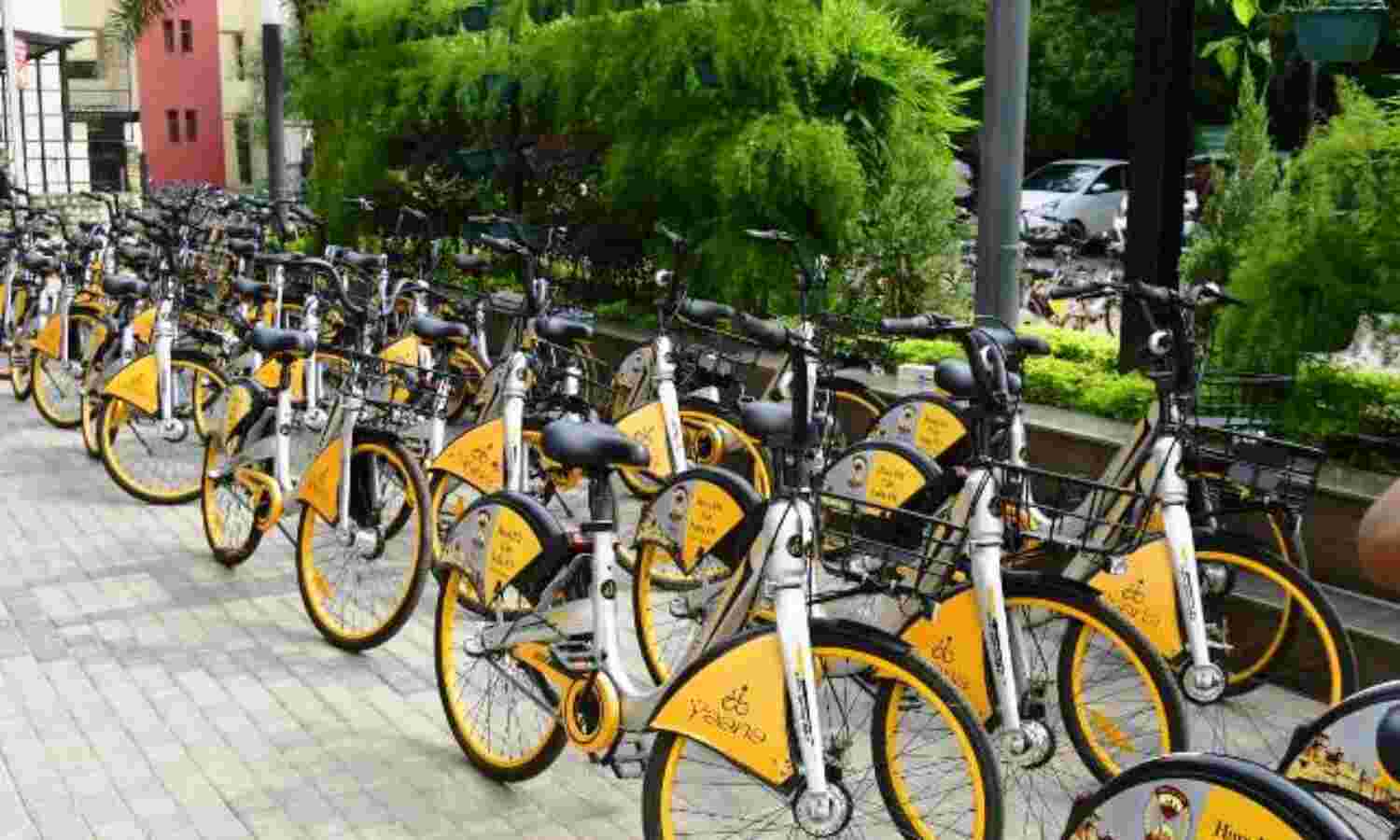 01 माह में शहरवासियों ने चलाई 13693 किमी साईकिल, 3423 किग्रा कार्बन उत्सर्जन में आई कमी