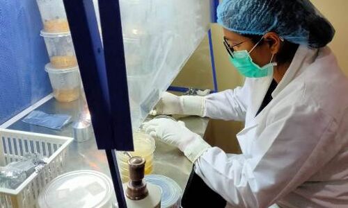 स्मार्ट सिटी देगा नव उद्यमियों को स्टार्टअप शुरू करने का मौका