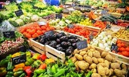 मप्र में केरल की तर्ज पर सब्जी और फलों पर होगी एमएसपी लागू