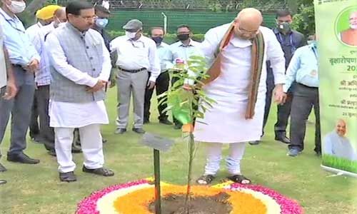 अमित शाह ने अपने आवास पर पौधरोपण कर किया वृक्षारोपण अभियान-2020 का शुभारंभ
