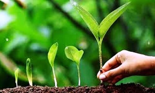 स्वयंसेवक ने चलाया पर्यावरण संरक्षक का अभियान, लिया संकल्प