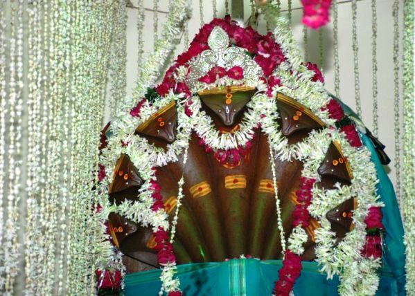 नाग पंचमी पर हुई नाग देव की पूजा