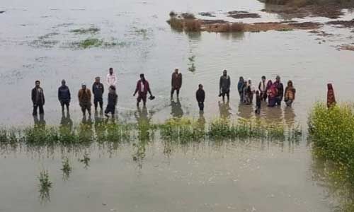 गोरखपुर : किसानों की 4031 हेक्टेयर धान-सब्जी की फसल डूबी गोरखपुर : किसानों की 4031 हेक्टेयर धान-सब्जी की फसल डूबी