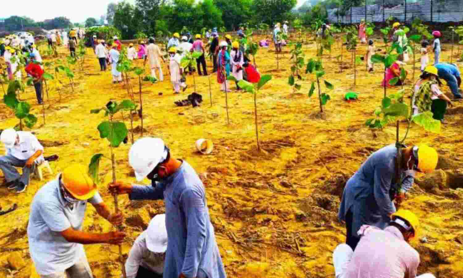 एक हजार लोगों ने किया तीन हजार पौधों का रोपण