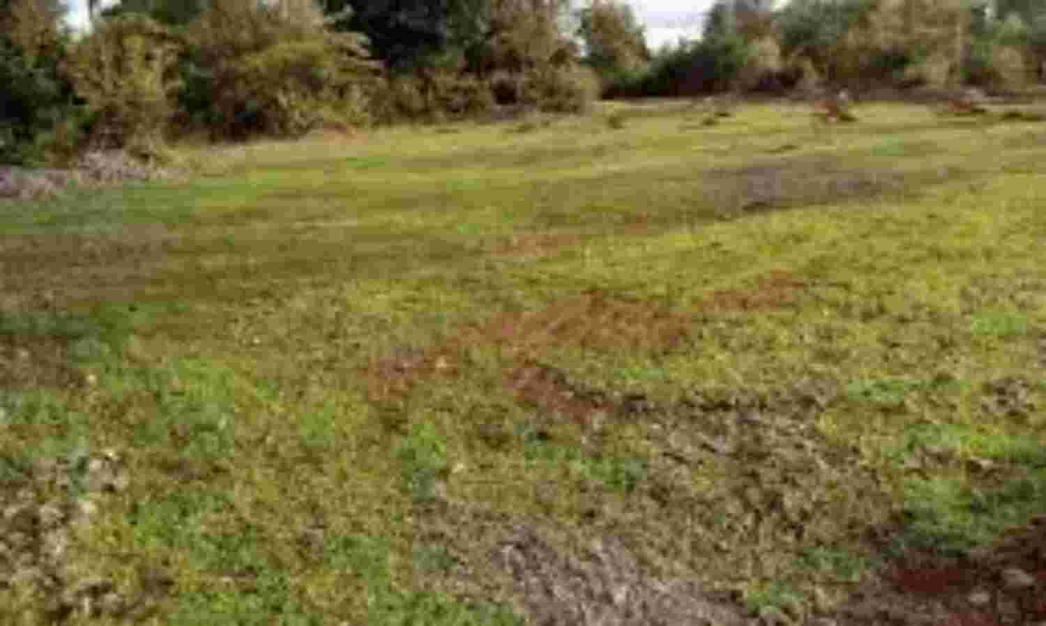 जमीन बेचने के बाद बंटवारे में आ गया नाम, तहसीलदार ने प्राथमिकी के लिए दिया पत्र