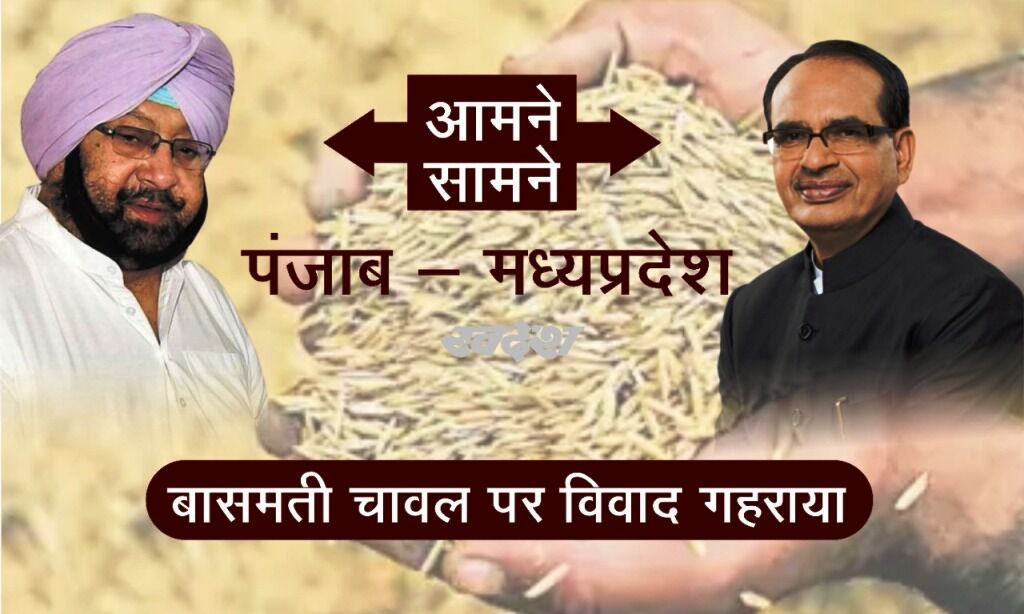 बासमती चावल पर गहराया विवाद, पंजाब-मप्र आमने-सामने, शिवराज ने की निंदा